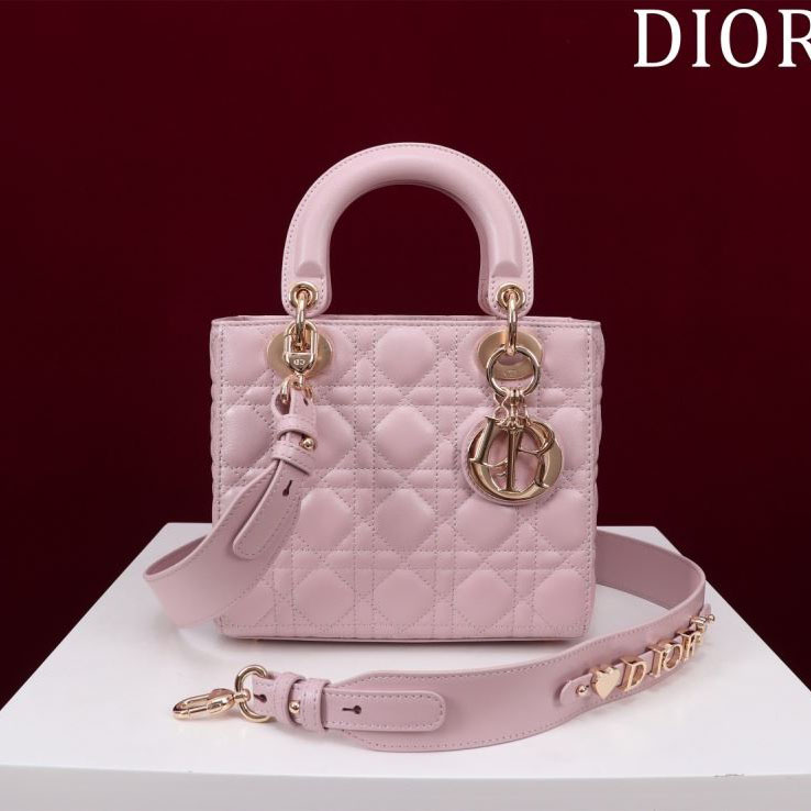 chr1st1an D10r my lady bags